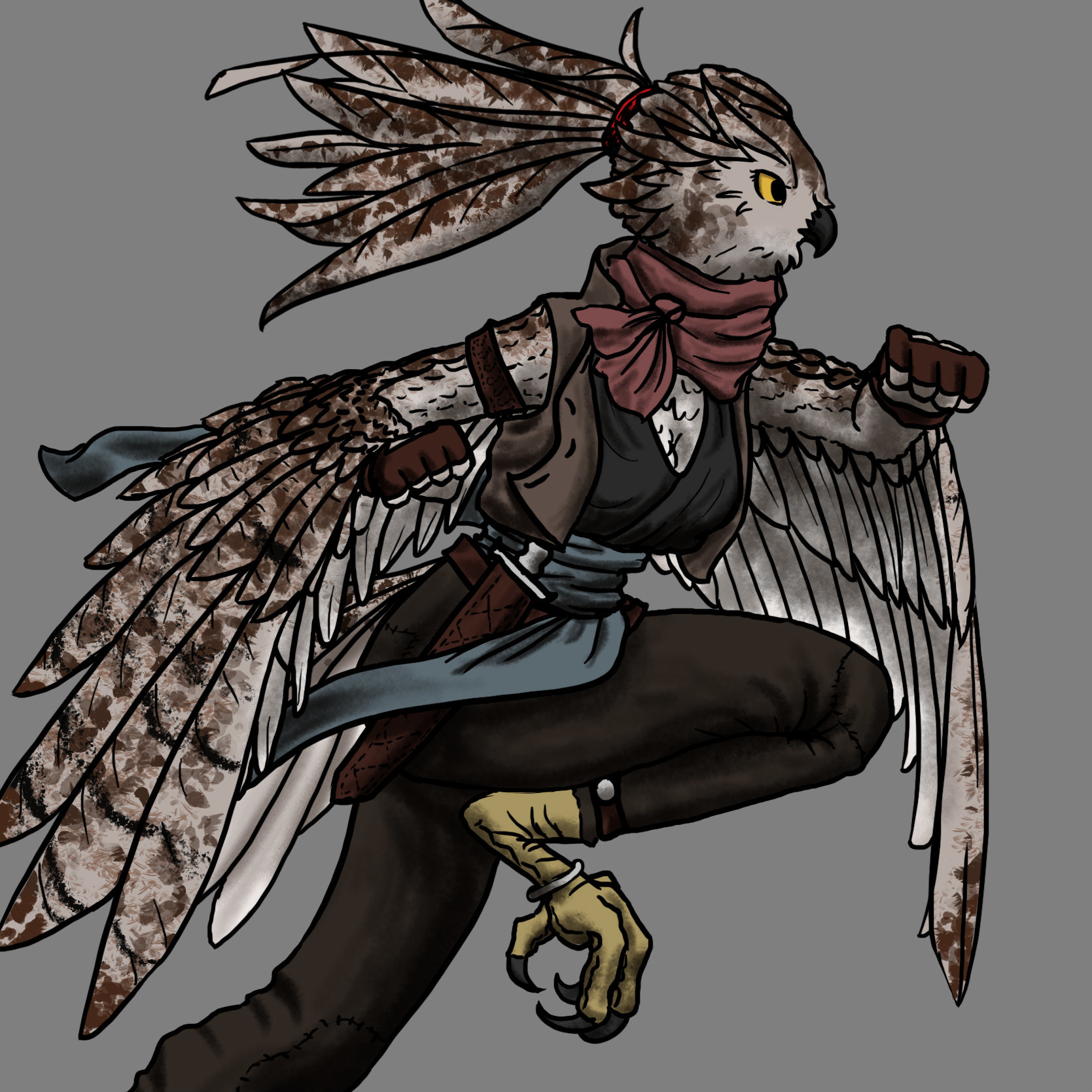 Owlfolk 5e (5th Edition) Race in D&D Races